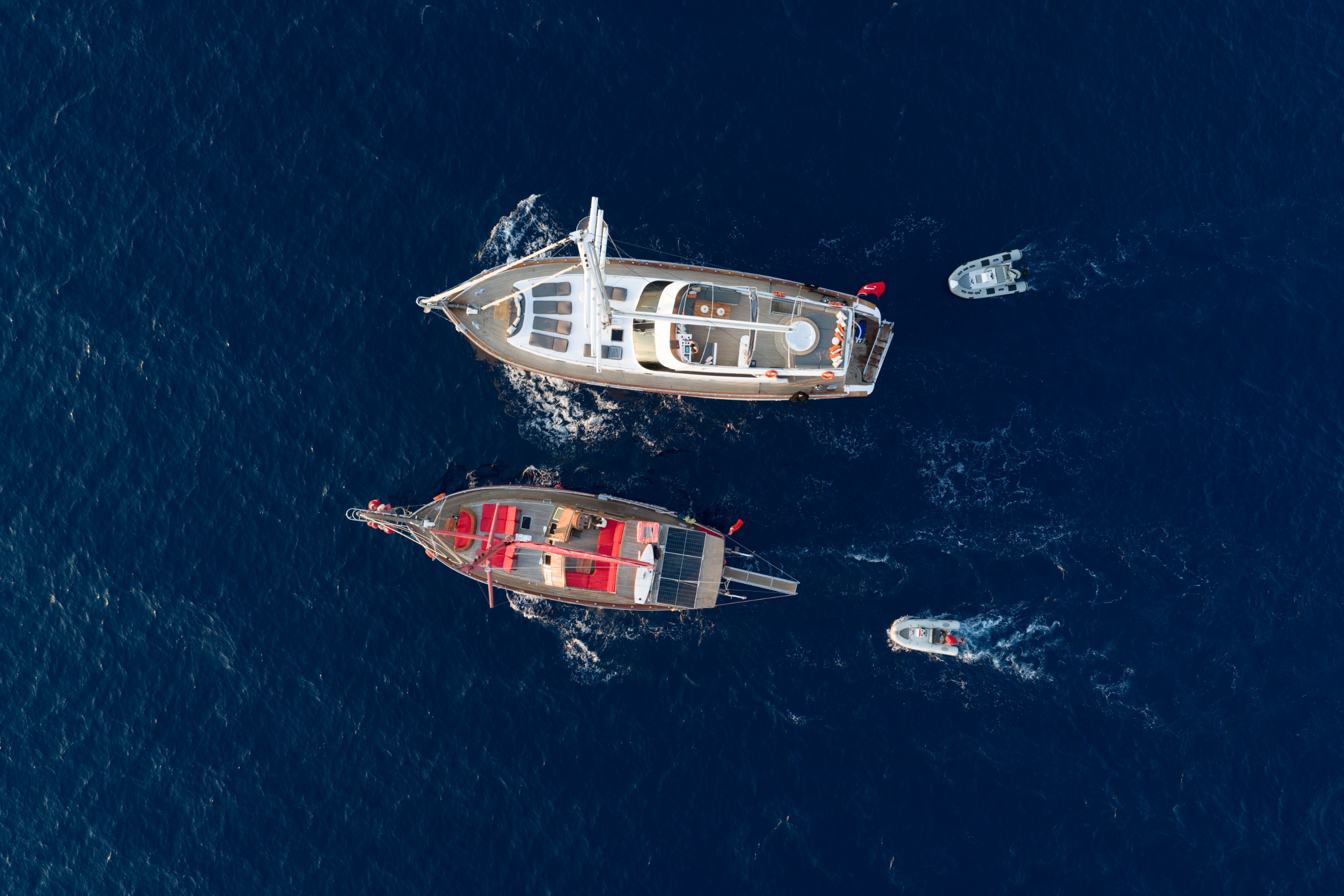 Blue Voyage gallery