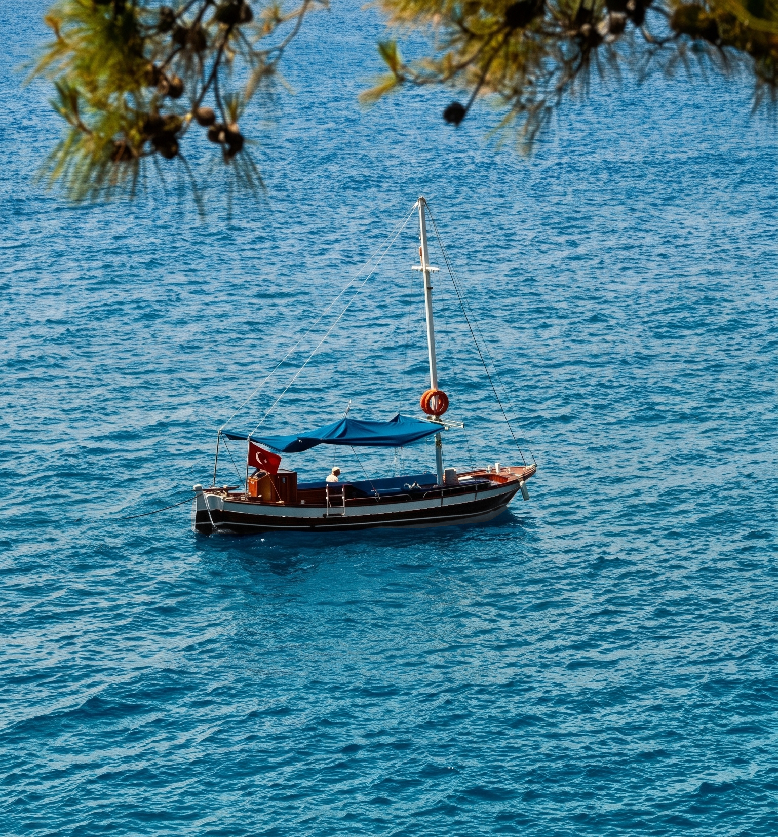 A wooden boat moored in a quiet cove below the pines